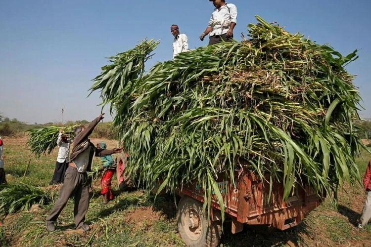 Nipha Launches OneHorn Agri Machinery Brand