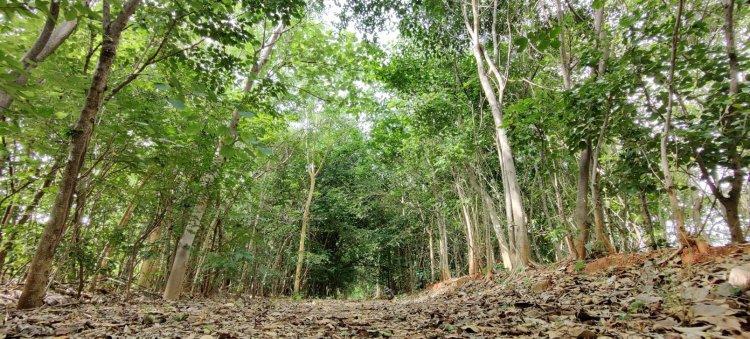 TKM Celebrate ‘World Environment Day’