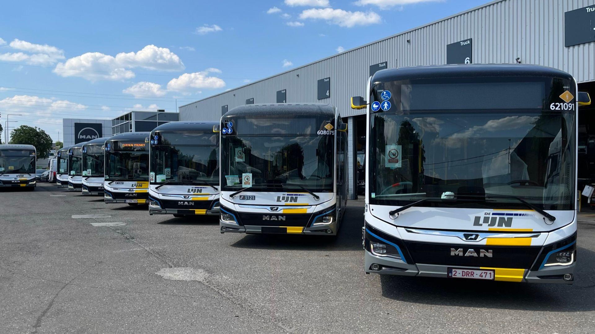 Hansea expands fleet with MAN Lion's City e-Buses