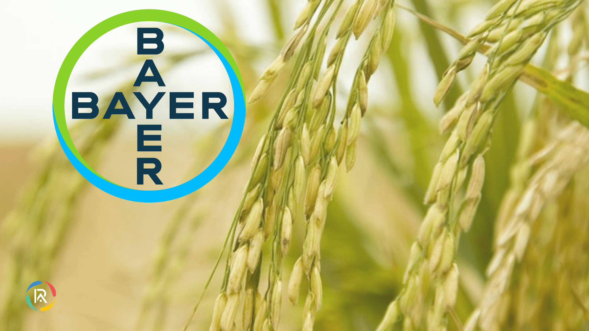 Bayer, GenZero, Shell, and Mitsubishi Launches The Good Rice Alliance(TGRA)