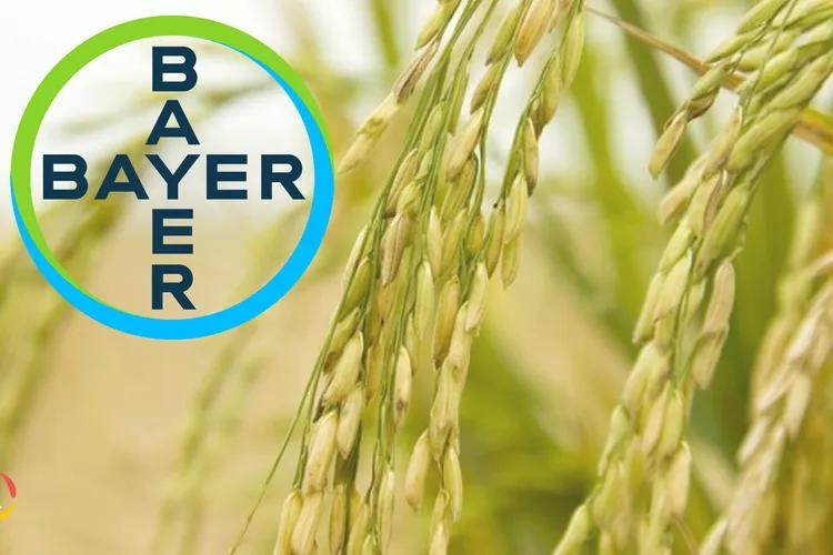 Bayer, GenZero, Shell, and Mitsubishi Launches The Good Rice Alliance(TGRA)