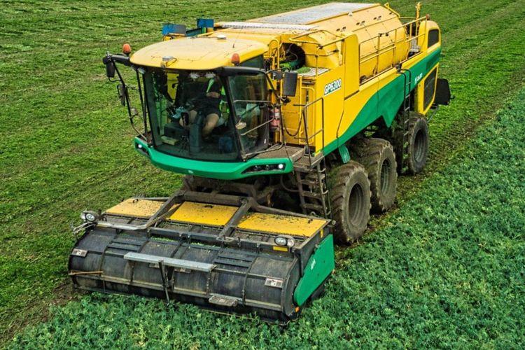 Oxbo Launches GP6300 Next-Generation Pea Harvester