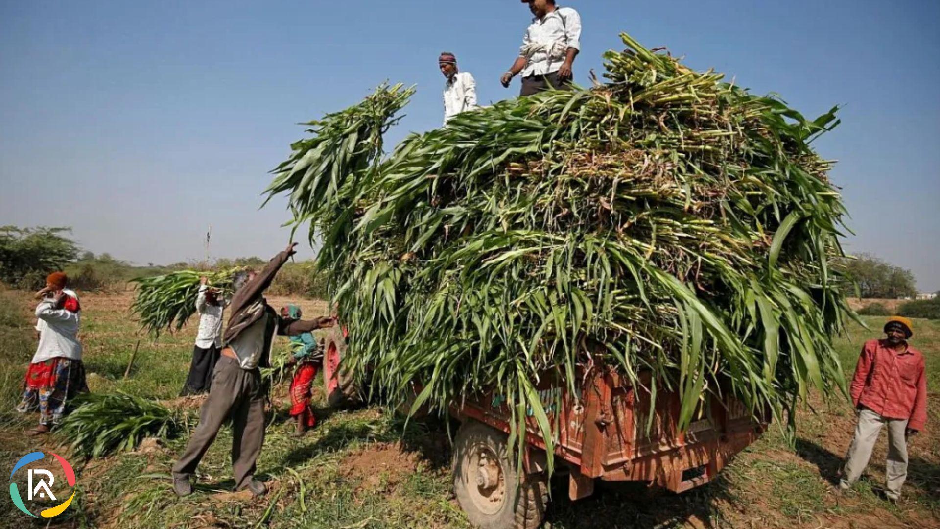 Nipha Launches OneHorn Agri Machinery Brand